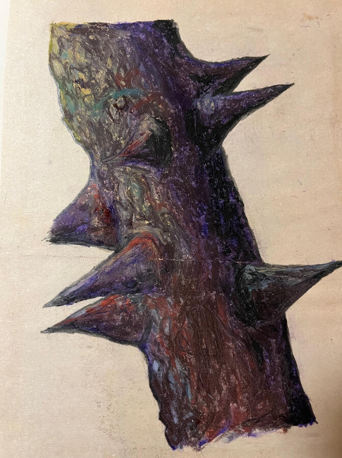 Thorn - Pencil / Oil pastel - 30 x 20